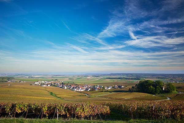 Les Origines - Champagne LACOURTE GODBILLON PREMIER CRU